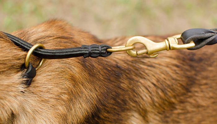 Collier Etrangleur Chien