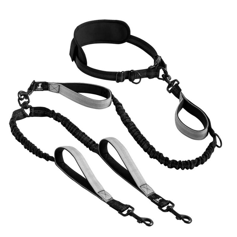 Ceinture Canicross Double