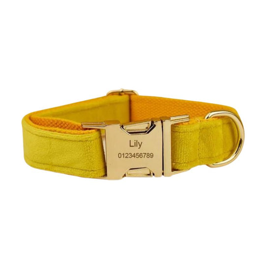 Collier Chien Personnalisé Yellow