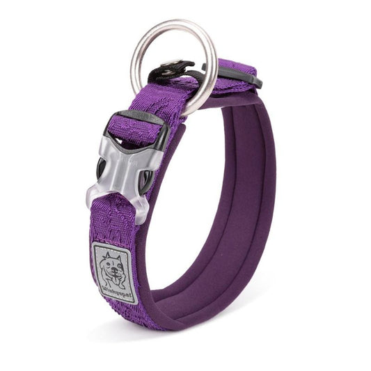 Collier Chien Violet