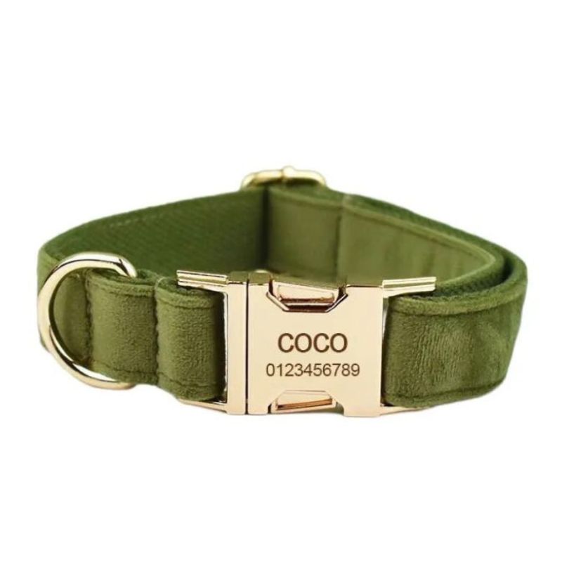 Collier pour Chien Personnalisé couleur Kaki