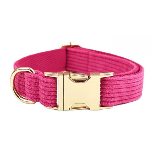 Collier pour Chien