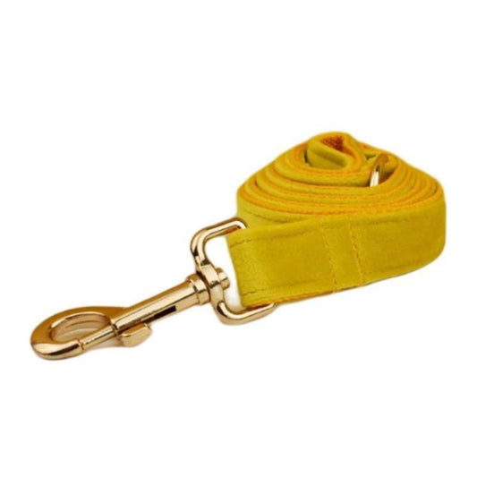 Laisse pour Chien Jaune