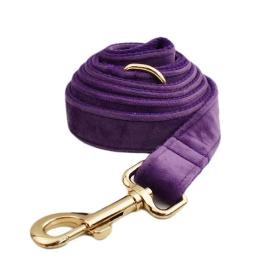 Laisse pour Chien Violet