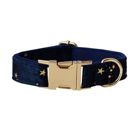 Collier Chien Personnalisé Etoiles