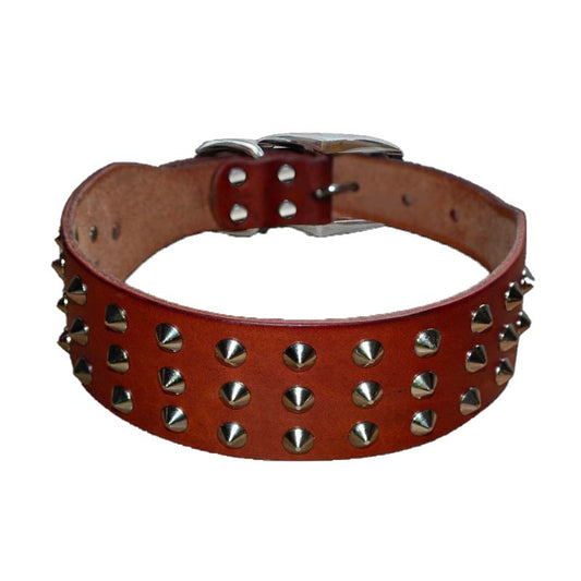 Collier Chien Clou