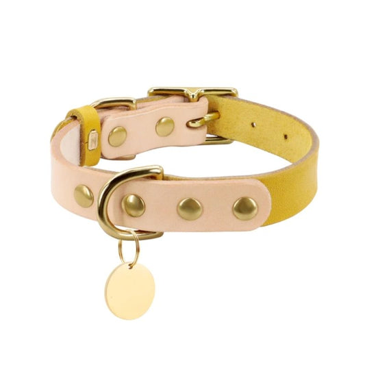 Collier Cuir Chien