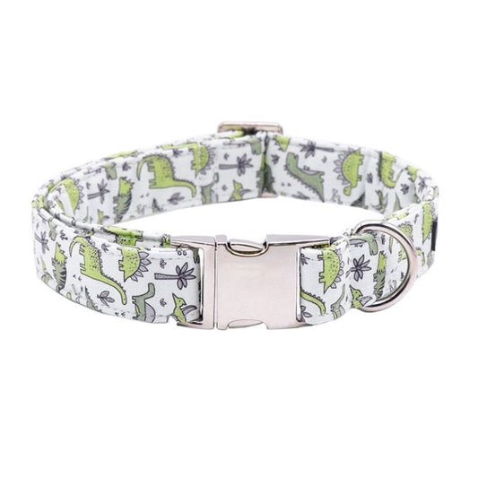 Collier Chien Personnalisé Dinosaures